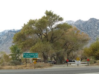 Turn left to follow U.S. 395 south to Los Angeles via California 14 (187 miles) or north to Bishop (80 miles).