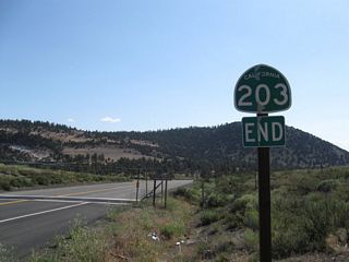 An end California 203 shield is posted after the on-ramp to U.S. 395 north. Main Street continues east a short distance to Casa Diablo Hot Springs and an extant stretch of old U.S. 395, but there is no outlet.
