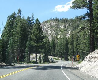 As we leave the urbanized portion of Mammoth Lakes, California 203 gains elevation and sees some winding road en route to the ski resort, Mammoth Mountain.