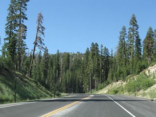 Tall lineator posts line both sides of the highway to allow snowplows to see both sides of California 207 in times of deep snow. Drifts several feet deep are common along California 207 and nearby California 4 near the ski area and mountain resort.