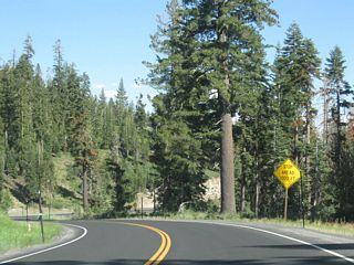Southbound California 207 (Mt. Reba Road) at California 4 (Ebbetts Pass Highway) intersection. Oddly, no signs are posted for California 4, and there is no end shield for California 207 south. California 4 east heads to Ebbetts Pass and west to Bear Valley Village and Angels Camp.