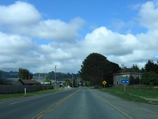 California 211 enters the city of Ferndale. As of the 2000 Census, 1,388 people called Ferndale home. The city lies at the end of the state highway and north of the Lost Coast, which is only accessible by local roads. The city is a general law city incorporated in 1893. The speed limit of California 211 (Main Street) drops to 25 miles per hour.