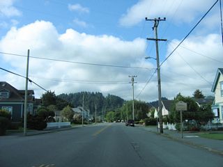 The entire city of Ferndale is a historic area. Victorian homes line Main Street, and a variety of shops, restaurants, and inns line the street.