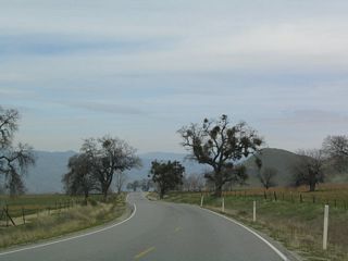 A bit further up the road, several oak trees dot the landscape in addition to the rolling grassland.