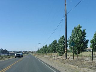 A reassurance marker for SR 229 stands along Webster Road north of Swayze Street and the community of Creston.
