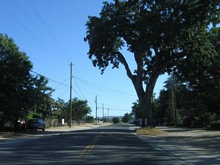 The large oak tree behind the 8.00 post mile for SR 229 south in Creston was removed after 2023. O'Donovan Road ties into SR 229 nearby as an alternate route south to SR 58 east to California Valley and Carrizo Plain National Monument.