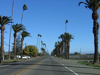 Tall palms sway in the breezes as California 233 (Robertson Boulevard) travels northeast past farms and ranches.