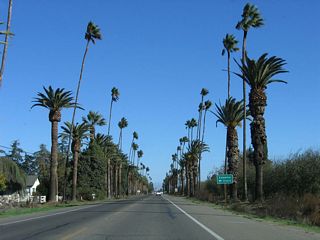 Northbound California 233 (Robertson Boulevard) approaches Camellia Court.