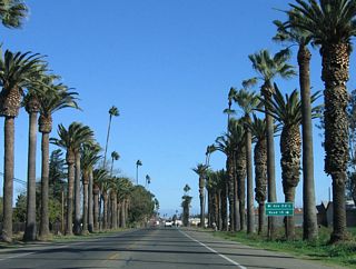 Palm-lined California 233 (Robertson Boulevard) continues north and next approaches Avenue 24 1/2 west and Road 15 south.