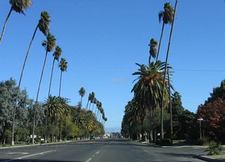 More palms line California 233 as Robertson Boulevard approaches 9th Street. Robertson Boulevard is named for city founder Orlando Alison Robertson, who laid out the town on the former Chowchilla Ranch and set a grand opening for the master-planned town on October 15, 1912. As the town was built out and people moved in, Chowchilla was incorporated on February 7, 1923.