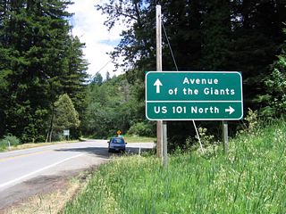 The first sign for Avenue of the Giants is located on northbound Hooker Creek Road. After passing under the U.S. 101 freeway, a right turn is required for the loop ramp to northbound U.S. 101. Note the use of text U.S. 101 rather than a shield.