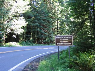 Upon leaving U.S. 101 (Redwood Highway), southbound California 254 follows Jordan Road north to the Avenue of the Giants, then turns east onto the Avenue.