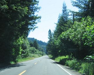 Southbound California 254 (Avenue of the Giants) enters the community of Pepperwood after briefly leaving the state park. From here, California 254 turns south.