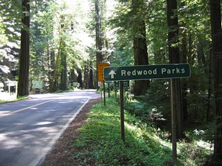 Towering redwoods allow limited sunlight into the world of the Humboldt Redwoods State Park. These magnificent giants are among the several stands of old growth redwood trees along the North Coast. While the freeway avoids the redwoods, the old route of U.S. 101 (California 254) passes right through the groves. Turn outs and hiking trails abound in nature's wonderland. This area can consume a full day of hiking, biking, or longer for camping.