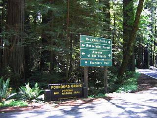 On the opposite corner is this sign for Founders Tree and Rockefeller Forest.