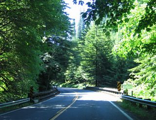 After the Barkdull Road intersection (which links to U.S. 101 (Redwood Highway)), southbound California 254 (Avenue of the Giants) crosses over Bear Creek.