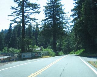 On the left side of the Avenue of the Giants is the entrance to the Eel River Sawmill, notable for its sign not welcoming visitors.