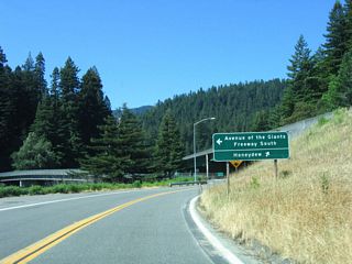 Southbound California 254 bumps into Bull Creek Road (Mattole Road) and U.S. 101 (Redwood Highway) at this intersection.