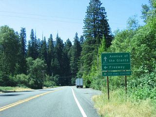 Entering the community of Weott, southbound California 254 (Avenue of the Giants) approaches Newton Road east to U.S. 101 (Redwood Highway).