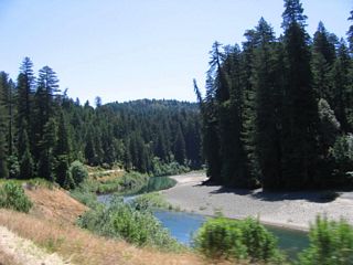 Southbound California 254 (Avenue of the Giants) follows the Eel River.