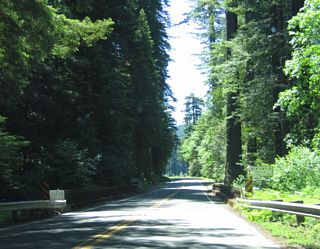 California 254 (Avenue of the Giants) crosses over Elk Creek on this old bridge.