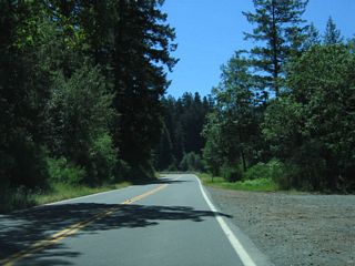 Emerging into the sunlight again, California 254 (Avenue of the Giants) continues south after the Elk Creek bridge.