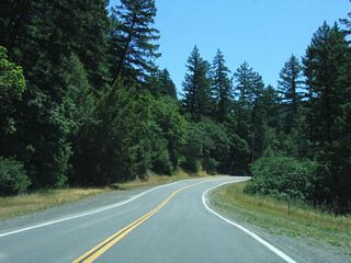 Scenic California 254 (Avenue of the Giants) continues south toward Phillipsville.
