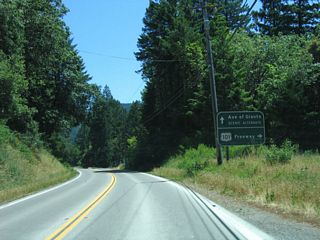 Southbound California 254 (Avenue of the Giants) meets Maple Hills Road, which travels west to U.S. 101 Exit 650.