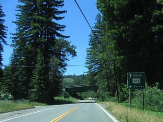 Immediately after the end shield, southbound California 254 (Avenue of the Giants) approaches U.S. 101 (Redwood Highway).