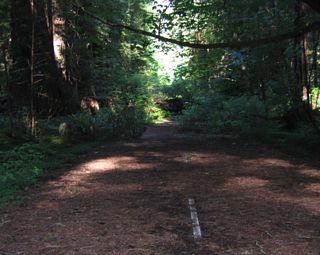 The old Avenue of the Giants (California 254) extends west from the Jordan Road intersection toward the Robert H. Madsen Bridge. Back in the day, this was signed as northbound U.S. 101 until the bypass was built to the south of this alignment. Old white centerline striping is still found on the old alignment of U.S. 101 within Humboldt Redwoods State Park.