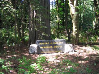 West of the intersection of Avenue of the Giants (California 254) and Jordan Road, the Madsen Bridge is an old 1938 concrete bridge that is in disrepair.