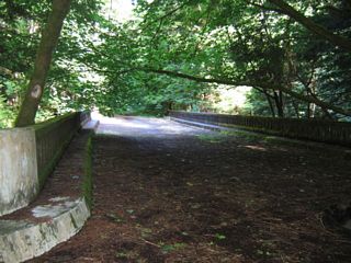 The Madsen Bridge crosses the creek, then ends on the west end amid trees and poison oak. The Madsen Bridge is named for a college student who helped construct the concrete span.