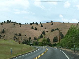 California 263 descends toward the Shasta River.