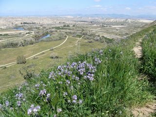 Panorama Park - Bakersfield, CA