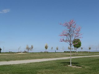 Panorama Park - Bakersfield, CA