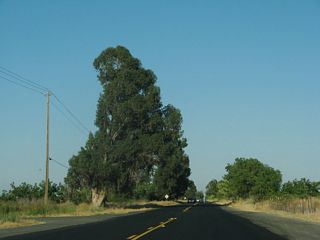 The previously rural stretch across agricultural land changed in 2019 with construction of the Sacred Oaks Healting Center east of Road 93A. en route to Davis. The driveway to D-Q University follows on the north side of CR E6.