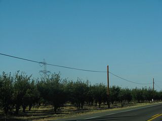 Yolo County Route E-6 passes under Path 66, the power lines that carry electricity from Malin, Oregon, south to a major substation near Tracy.