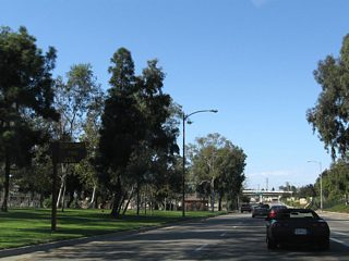 A wide median separates the two directions of Shoreline Drive between Ocean Boulevard and the merge with Interstate 710. A passive park with turf and trees offers visual relief to passing traffic. Named Cesar Chavez Park, it does not seem to have any pedestrian access from the freeway.