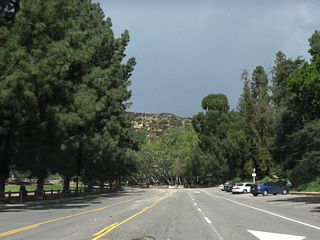Vermont Canyon Road north as it ascends toward the Griffith Observatory.