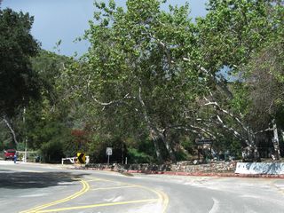 Vermont Canyon Road north as it ascends toward the Griffith Observatory.