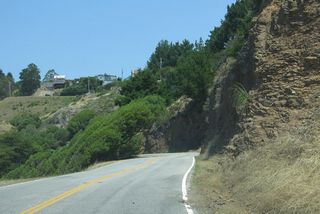 Parking at the national monument is limited, so some folks will park along Muir Woods Road away from the entrance
