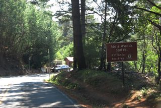 The turnoff to Muir Woods National Monument is located at the bottom of the grade. A small parking lot is located here; overflow is common.