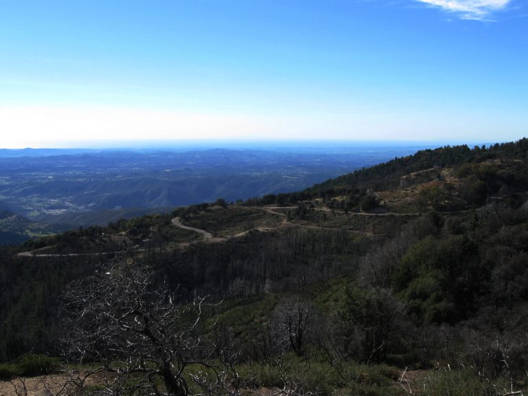 Palomar Mountain from CR S-6