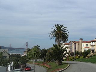 Palms dominate the median as the Golden Gate Bridge comes into view along El Camino del Mar in Sea Cliff. The road turns right at the stop sign ahead.