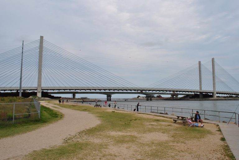 Charles W. Cullen Bridge