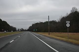 Slaughter Beach Road (Rd 224) intersects Coastal Highway ahead of this reassurance marker.