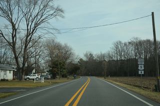 Cedar Lane (Rd 318) northwest and Wood Branch Road (Rd 321) northeast tie into U.S. 9 Truck (Park Avenue) at Cabbage Corner. A trailblazer stands between the succeeding intersections.