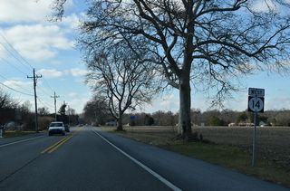 SR 14 west of Butler Road (Rd 429) south and Old Airport Road (Rd 429) north.