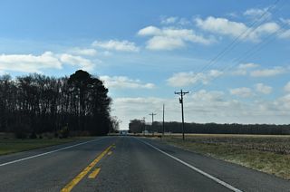 SR 14 (Vernon Road) travels by agricultural areas and timberland for the remaining miles west to the Maryland line.