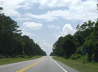 SR 16 advances 0.7 miles west from CR 315A to intersect CR 315 north. The county road serves suburban areas of west Green Cove Springs.